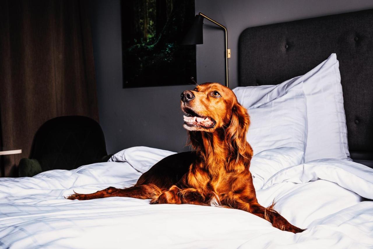 Hotell Soedra Berget ซุนด์สวาลล์ ภายนอก รูปภาพ
